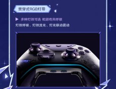画像12: 【原神 749pt】原神　FlyDigi APEX5　スカークモチーフ　コントローラー【特殊航空便、船便】【予約2026年2月中旬】 (12)