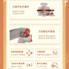 画像9: 【原神 399pt】原神 宵宮モチーフ コントローラー&充電用ドックセット【特殊航空便、船便】【予約2026年3月中旬】 (9)