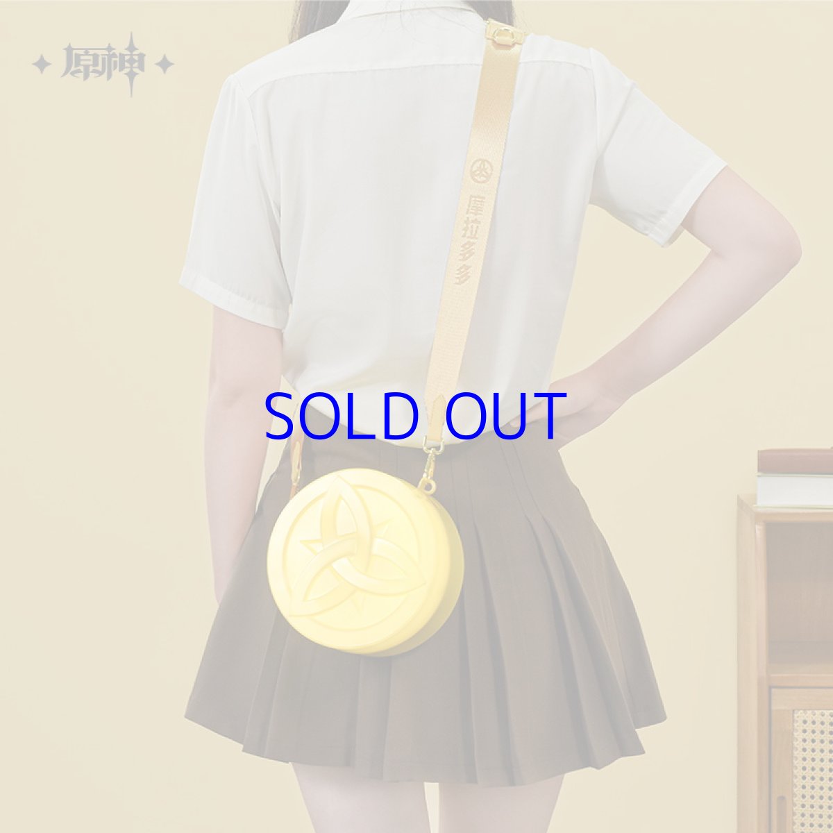 画像4: 原神　Genshin FES 2024　モラバッグ【特殊航空便、船便】 (4)