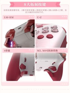 画像12: 【3rd 559pt】崩壊3rd　エリシアモチーフ　コントローラー【特殊航空便、船便】【予約180日以内】 (12)