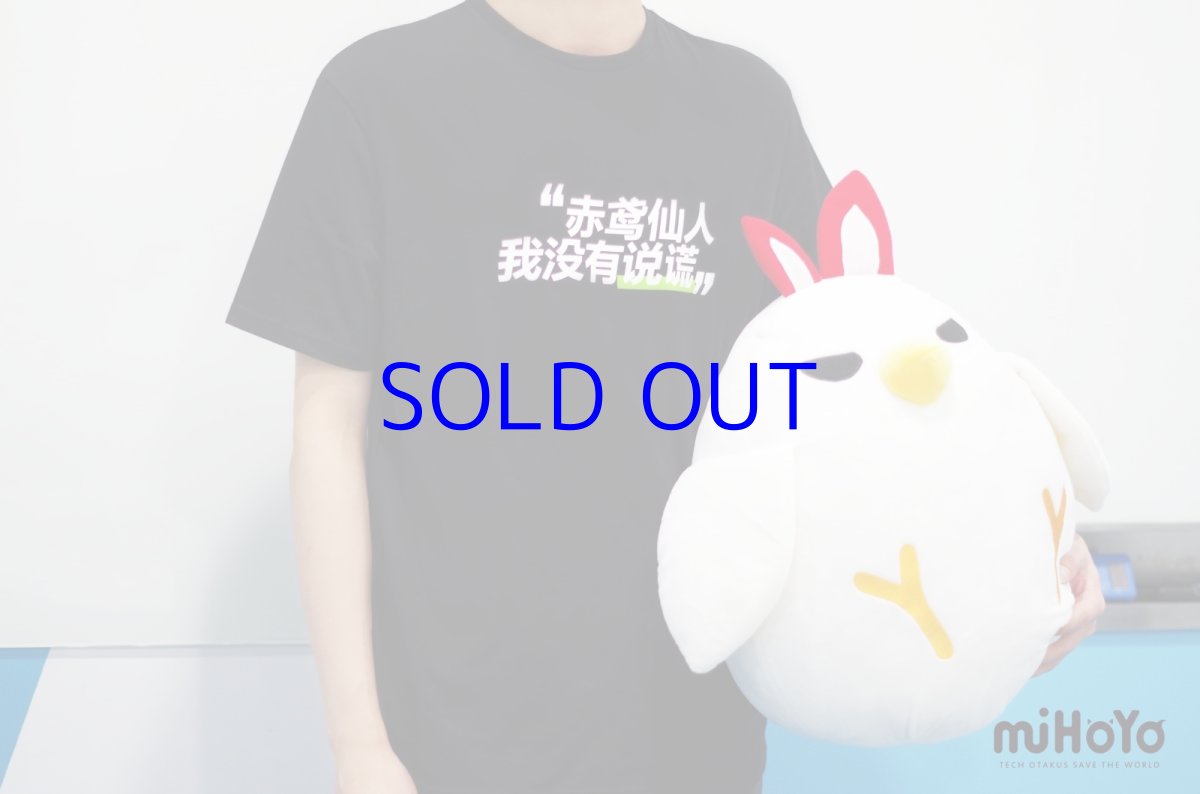 画像6: 崩壊3rd　精衛　ぬいぐるみ (6)