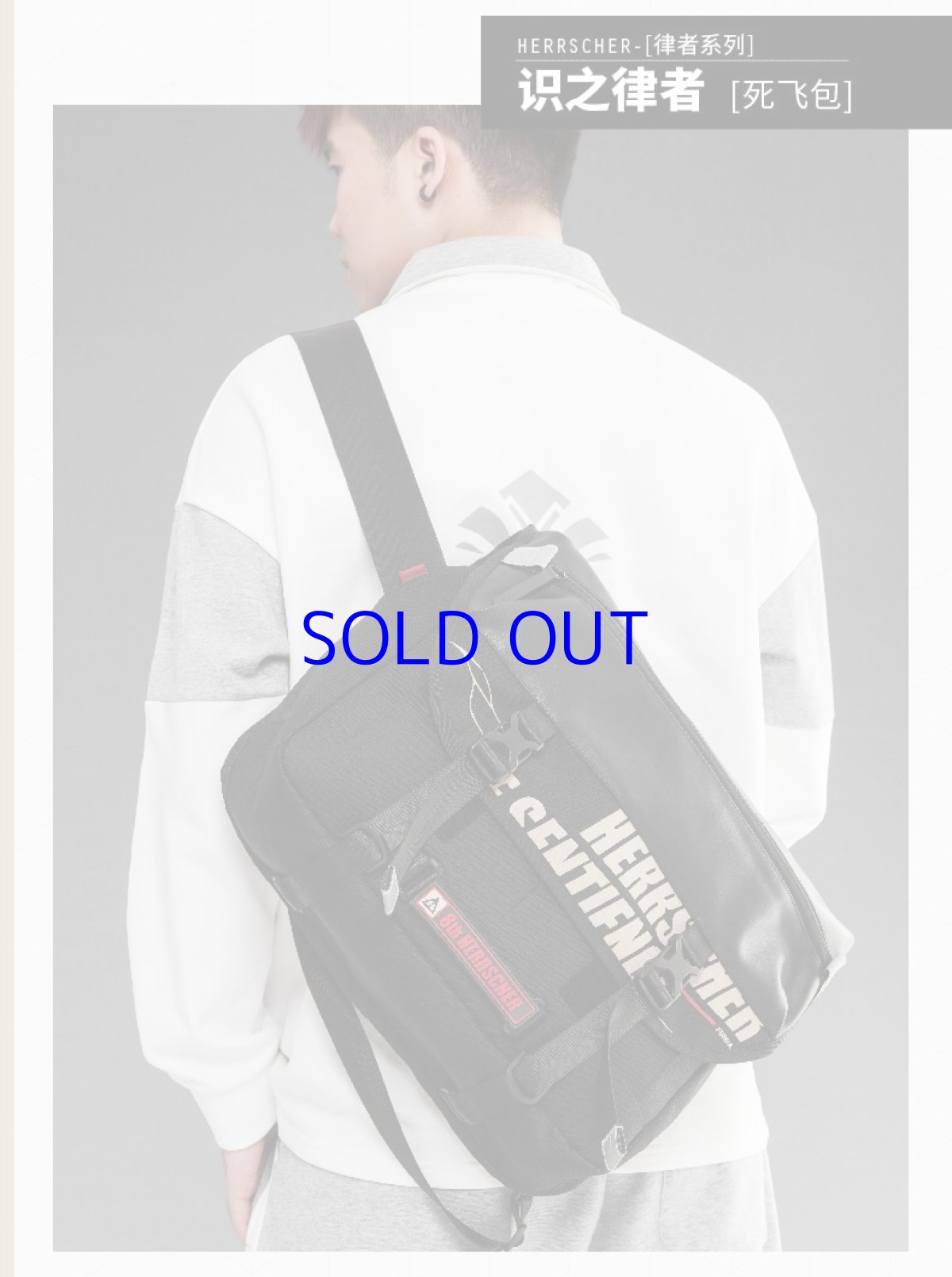 画像10: 【3rd 169pt】崩壊3rd　フカ・識の律者　ボディバッグ　特典カード付き (10)