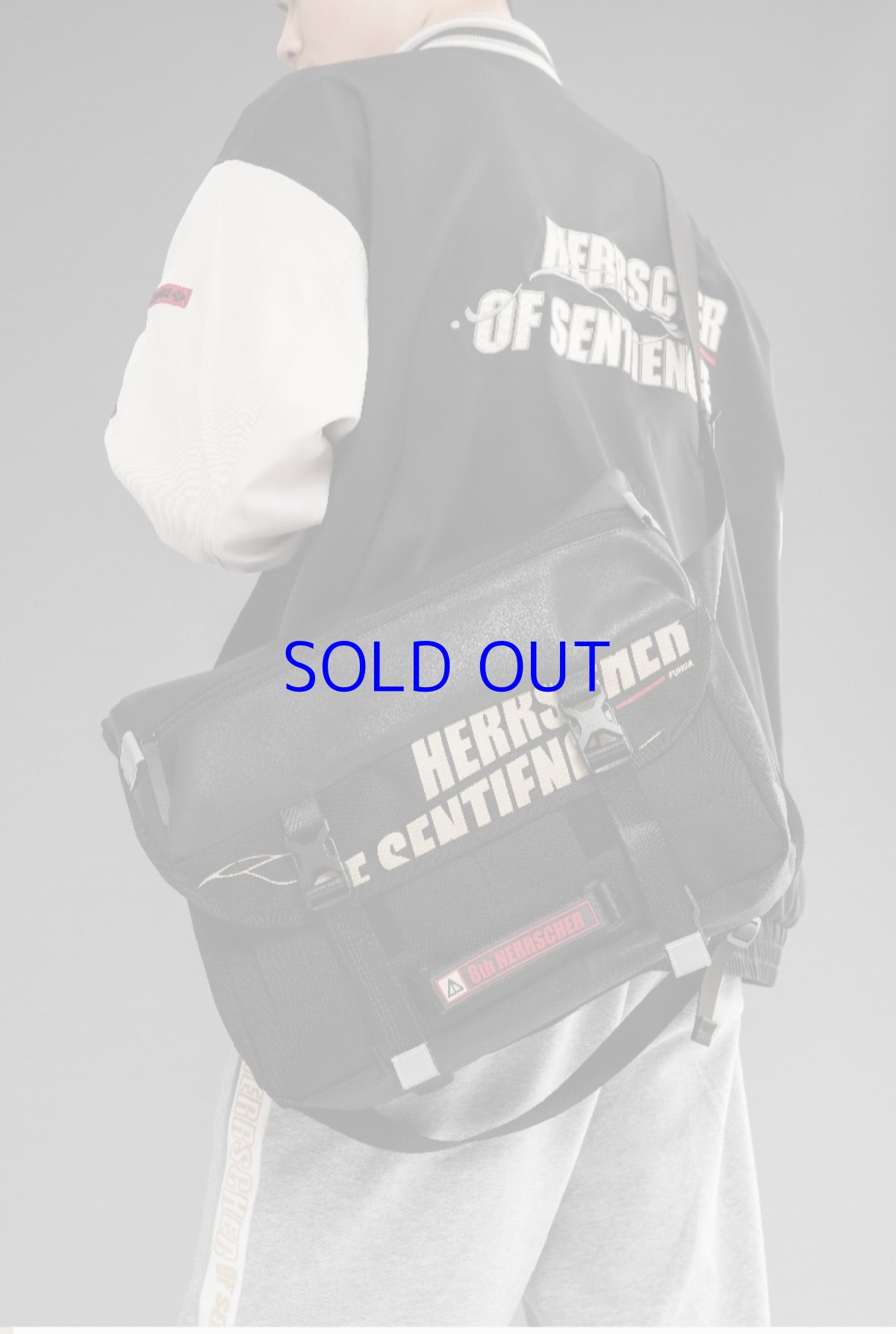 画像6: 【3rd 169pt】崩壊3rd　フカ・識の律者　ボディバッグ　特典カード付き (6)