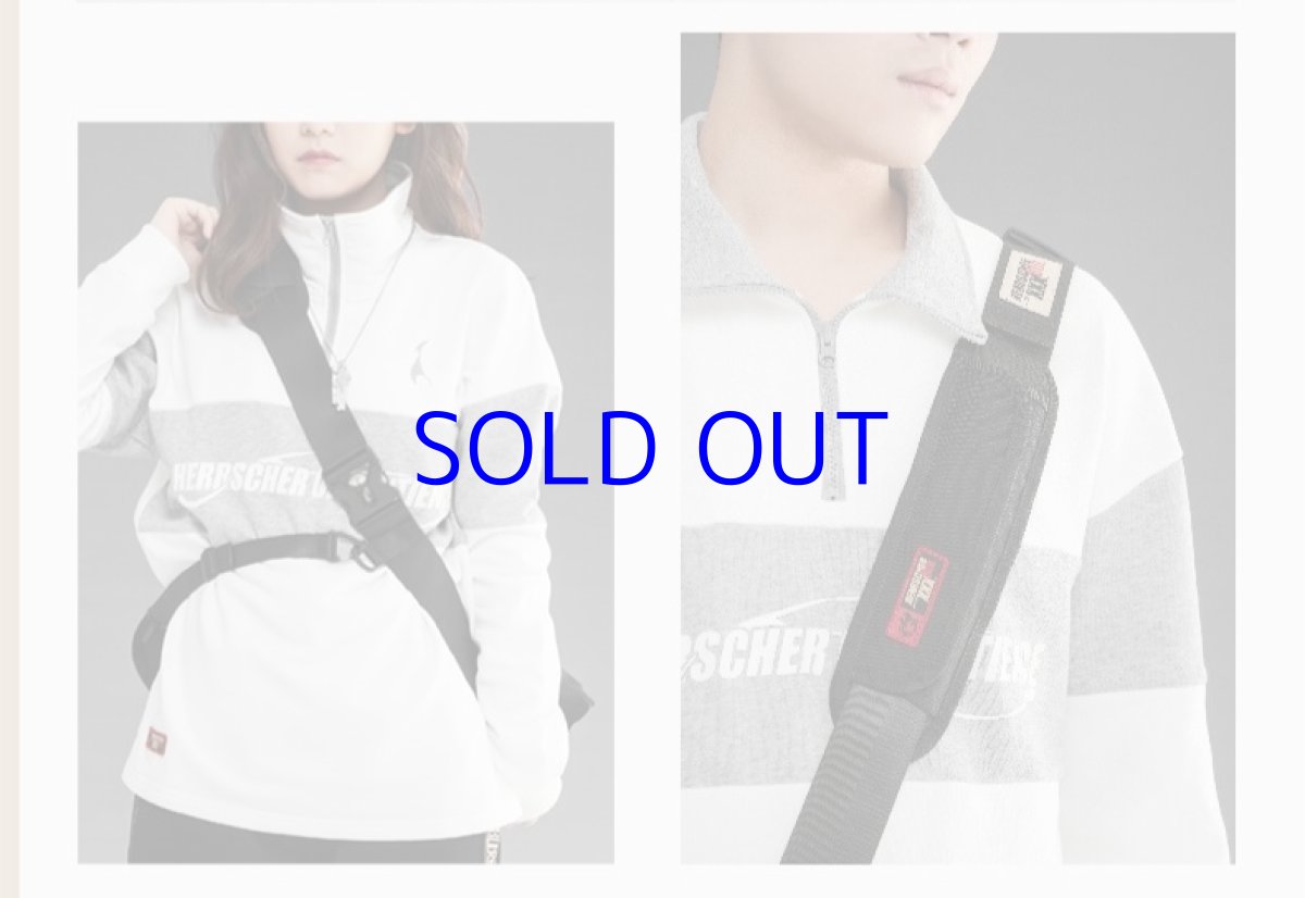 画像13: 【3rd 169pt】崩壊3rd　フカ・識の律者　ボディバッグ　特典カード付き (13)