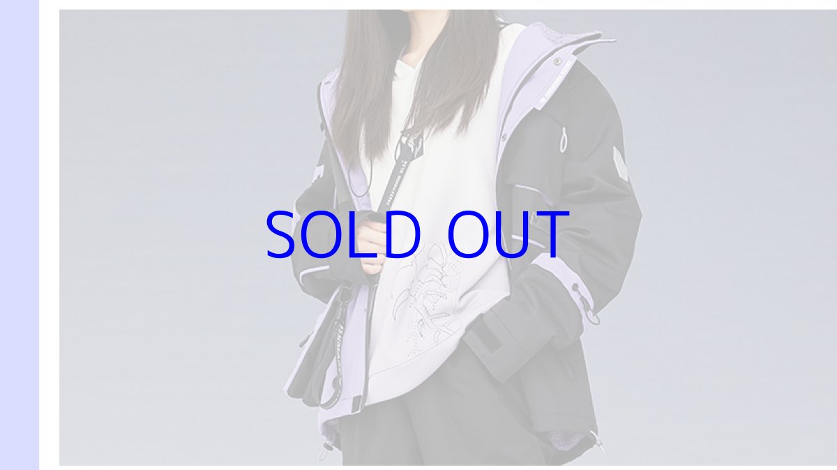 画像11: 【3rd 499pt】崩壊3rd　リタ・ロストローズマリー　コート　特典キーホルダー付き (11)