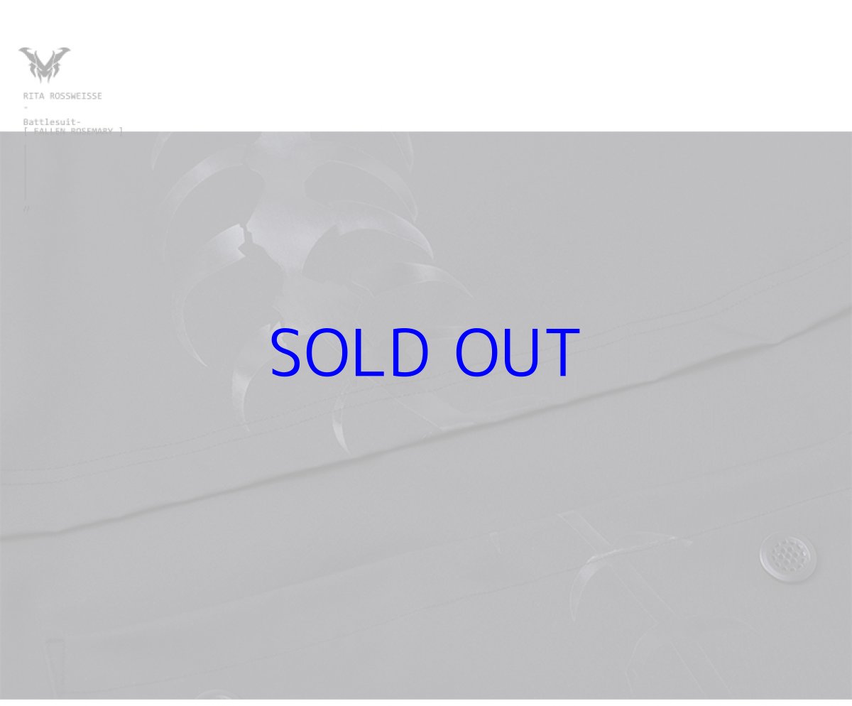 画像17: 【3rd 499pt】崩壊3rd　リタ・ロストローズマリー　コート　特典キーホルダー付き (17)