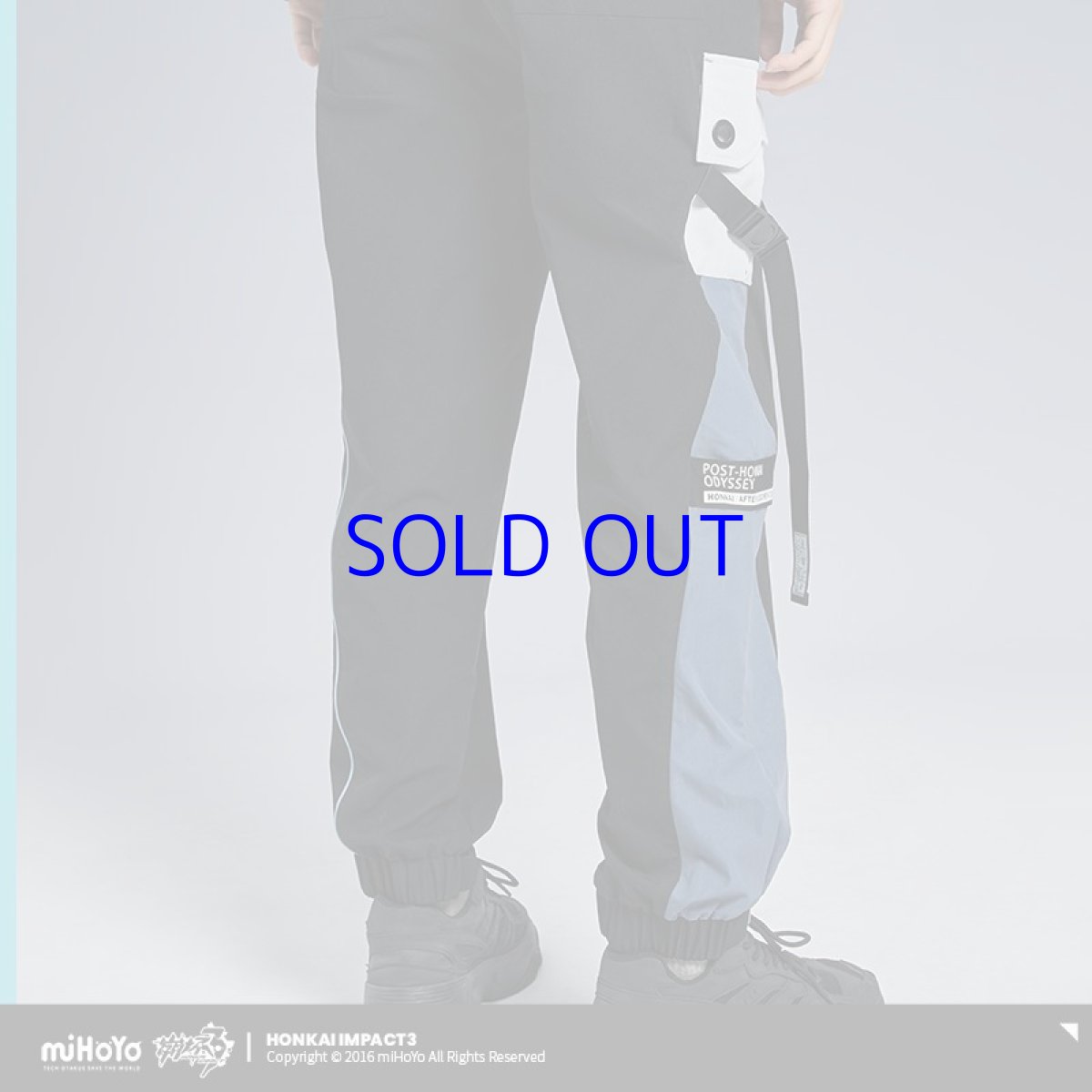 画像11: 崩壊3rd ブローニャ・新生の銀翼 カーゴパンツ 特典付き (11)