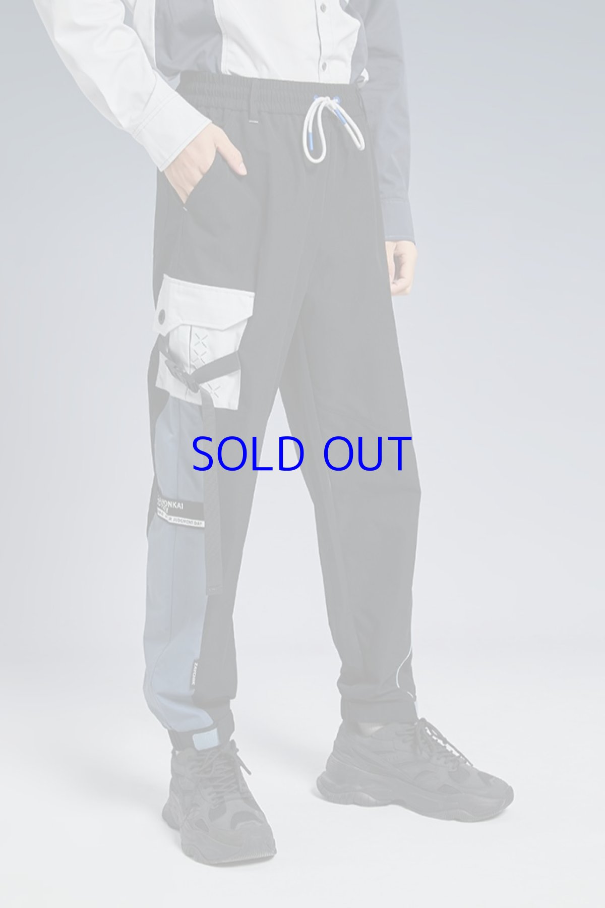 画像6: 崩壊3rd ブローニャ・新生の銀翼 カーゴパンツ 特典付き (6)