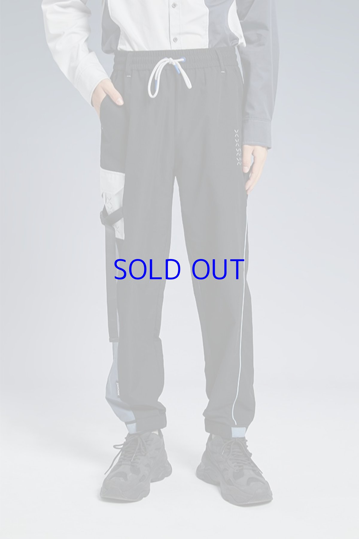 画像7: 崩壊3rd ブローニャ・新生の銀翼 カーゴパンツ 特典付き (7)