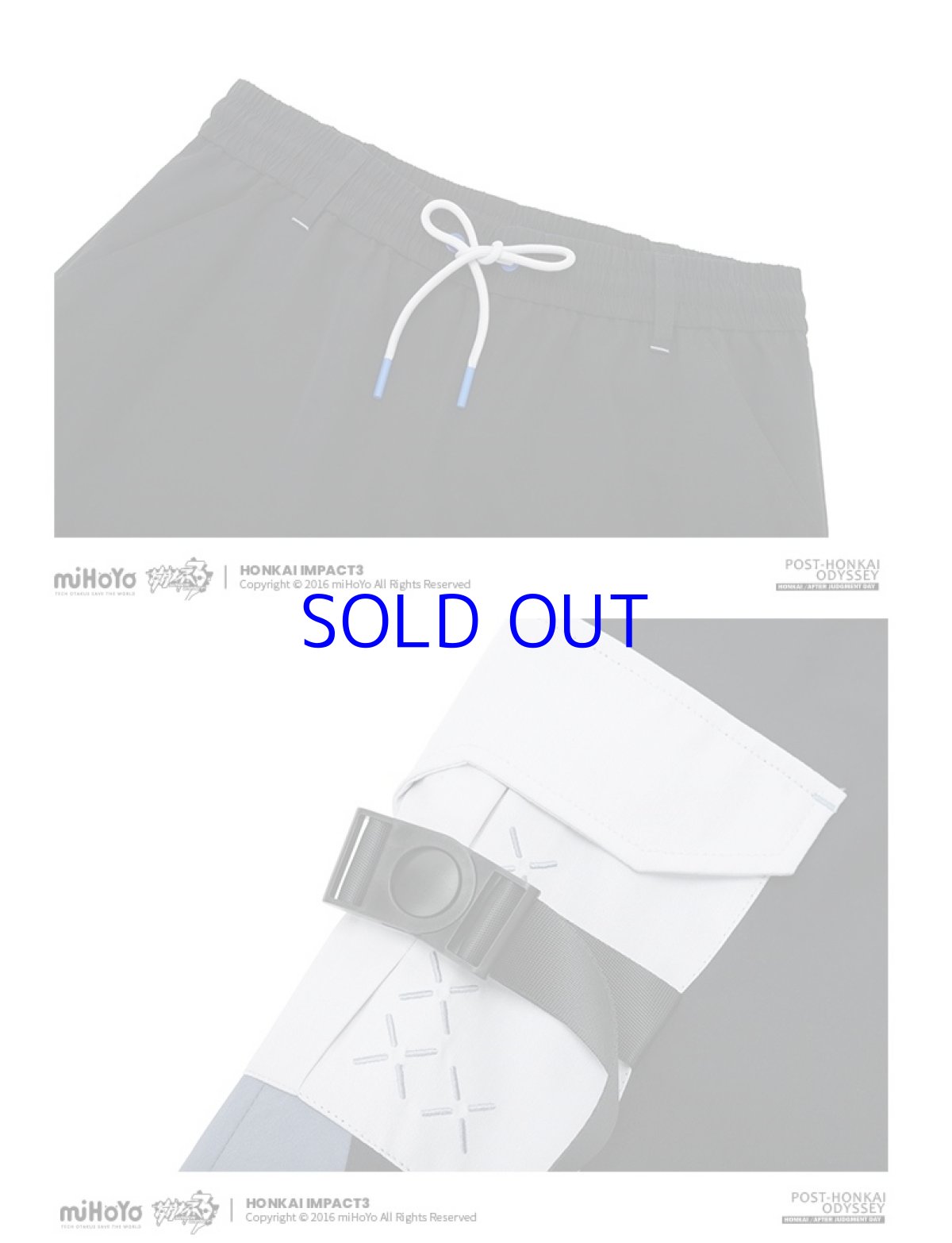 画像14: 崩壊3rd ブローニャ・新生の銀翼 カーゴパンツ 特典付き (14)