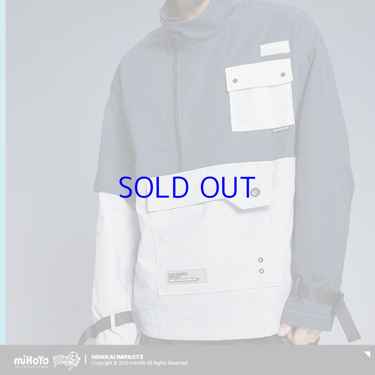 画像6: 崩壊3rd　ブローニャ・新生の銀翼　ジャケット　特典付き (6)