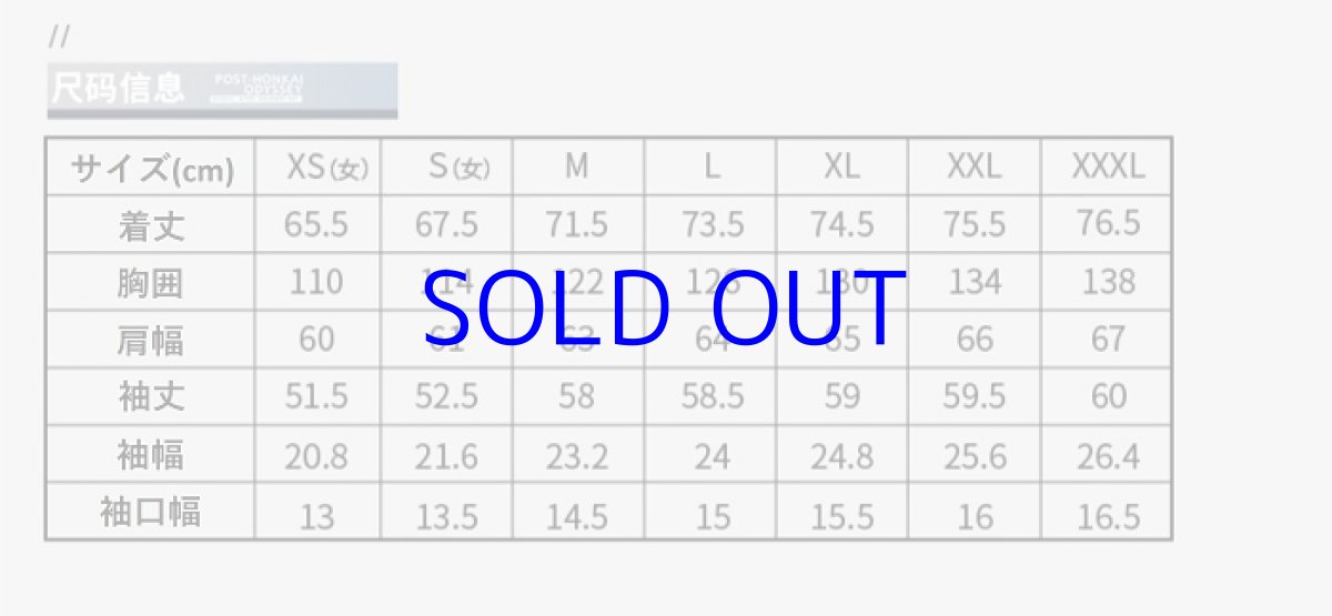画像5: 崩壊3rd　ブローニャ・新生の銀翼　ジャケット　特典付き (5)