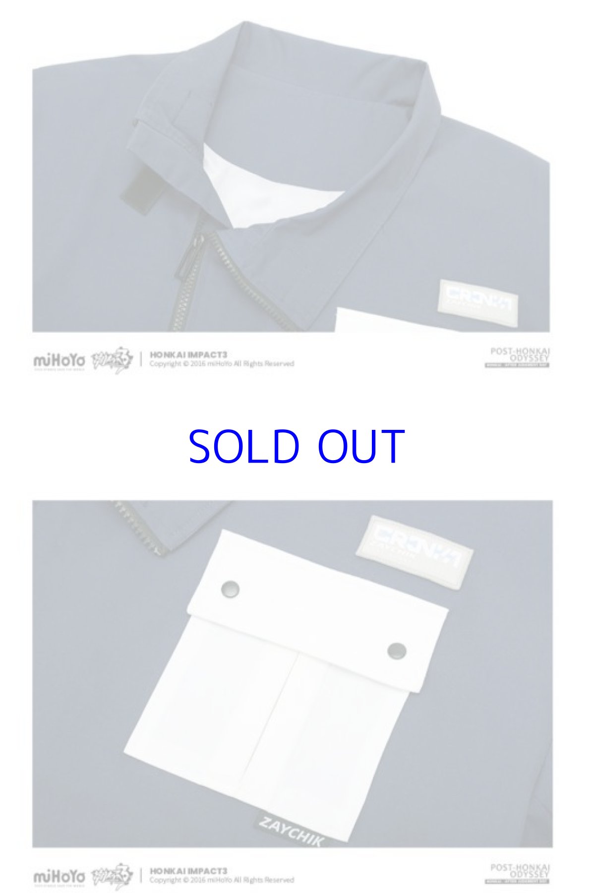 画像15: 崩壊3rd　ブローニャ・新生の銀翼　ジャケット　特典付き (15)