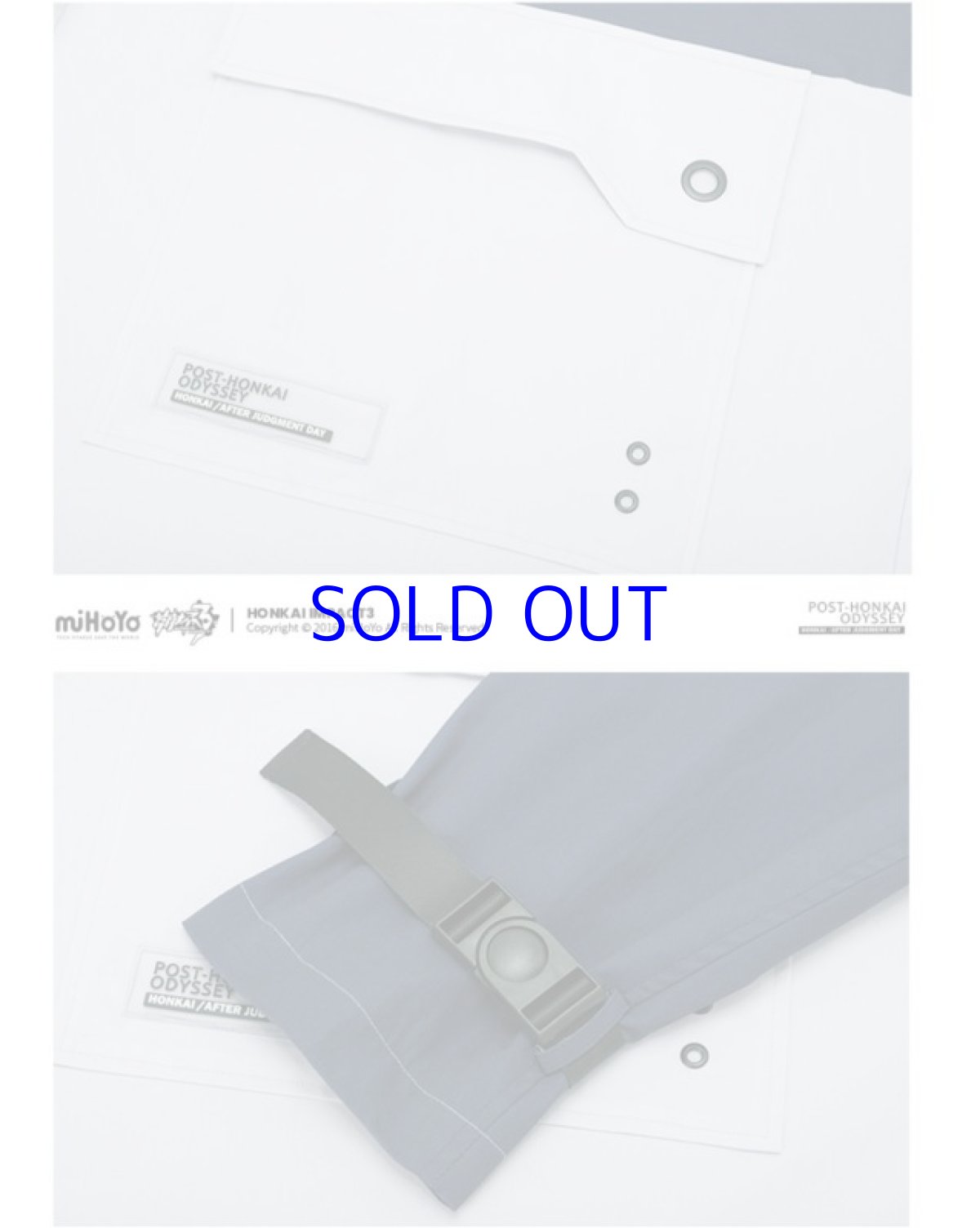 画像16: 崩壊3rd　ブローニャ・新生の銀翼　ジャケット　特典付き (16)