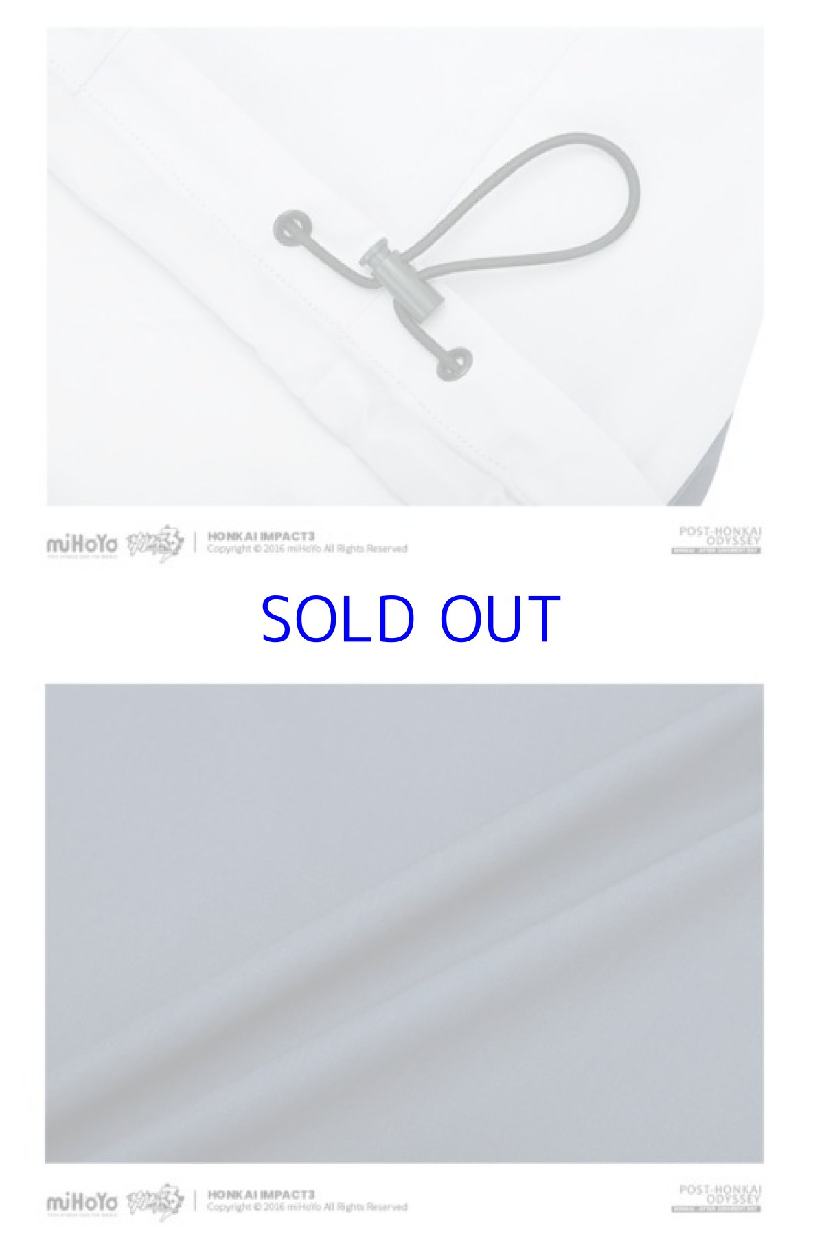 画像17: 崩壊3rd　ブローニャ・新生の銀翼　ジャケット　特典付き (17)