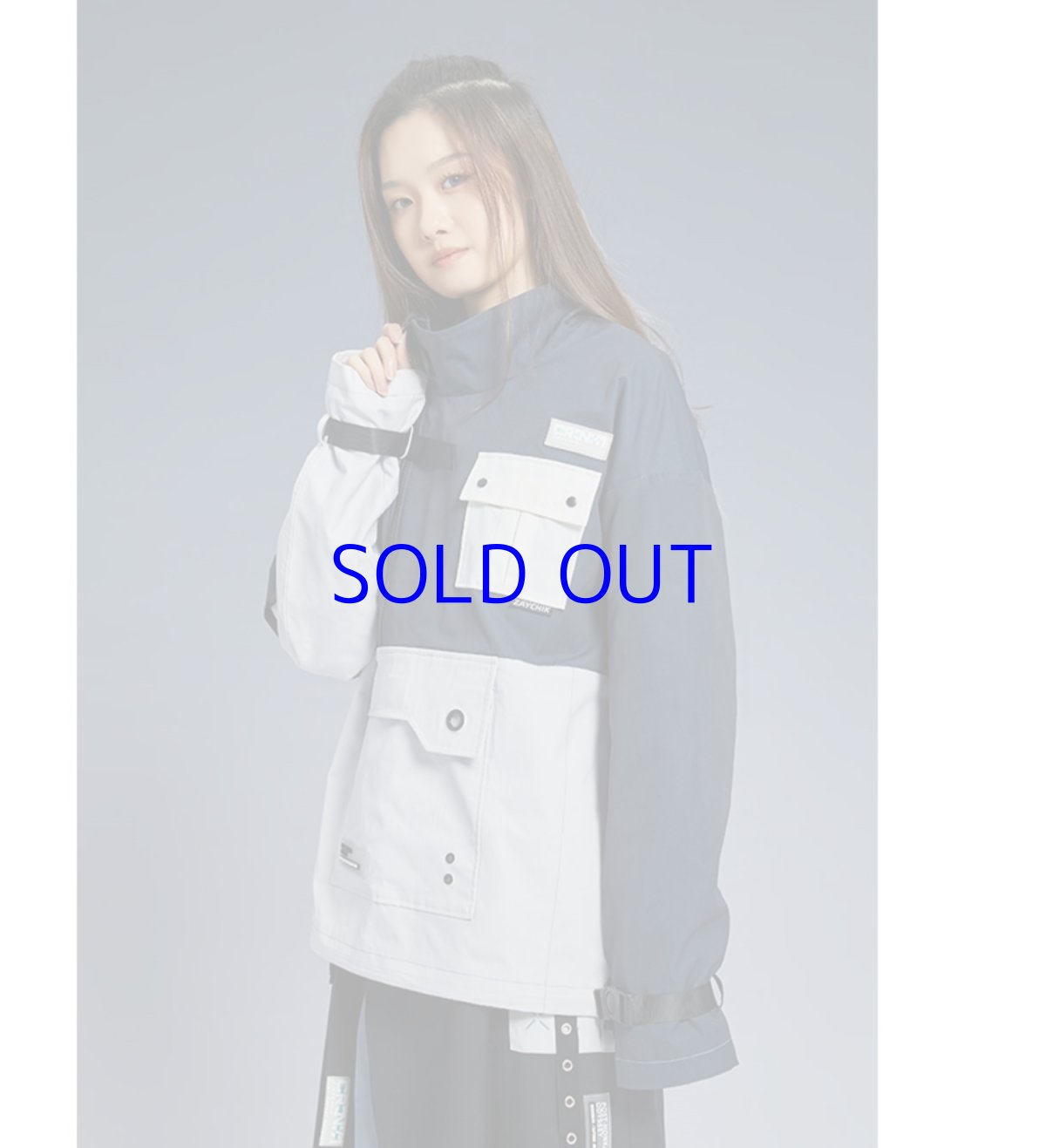 画像9: 崩壊3rd　ブローニャ・新生の銀翼　ジャケット　特典付き (9)