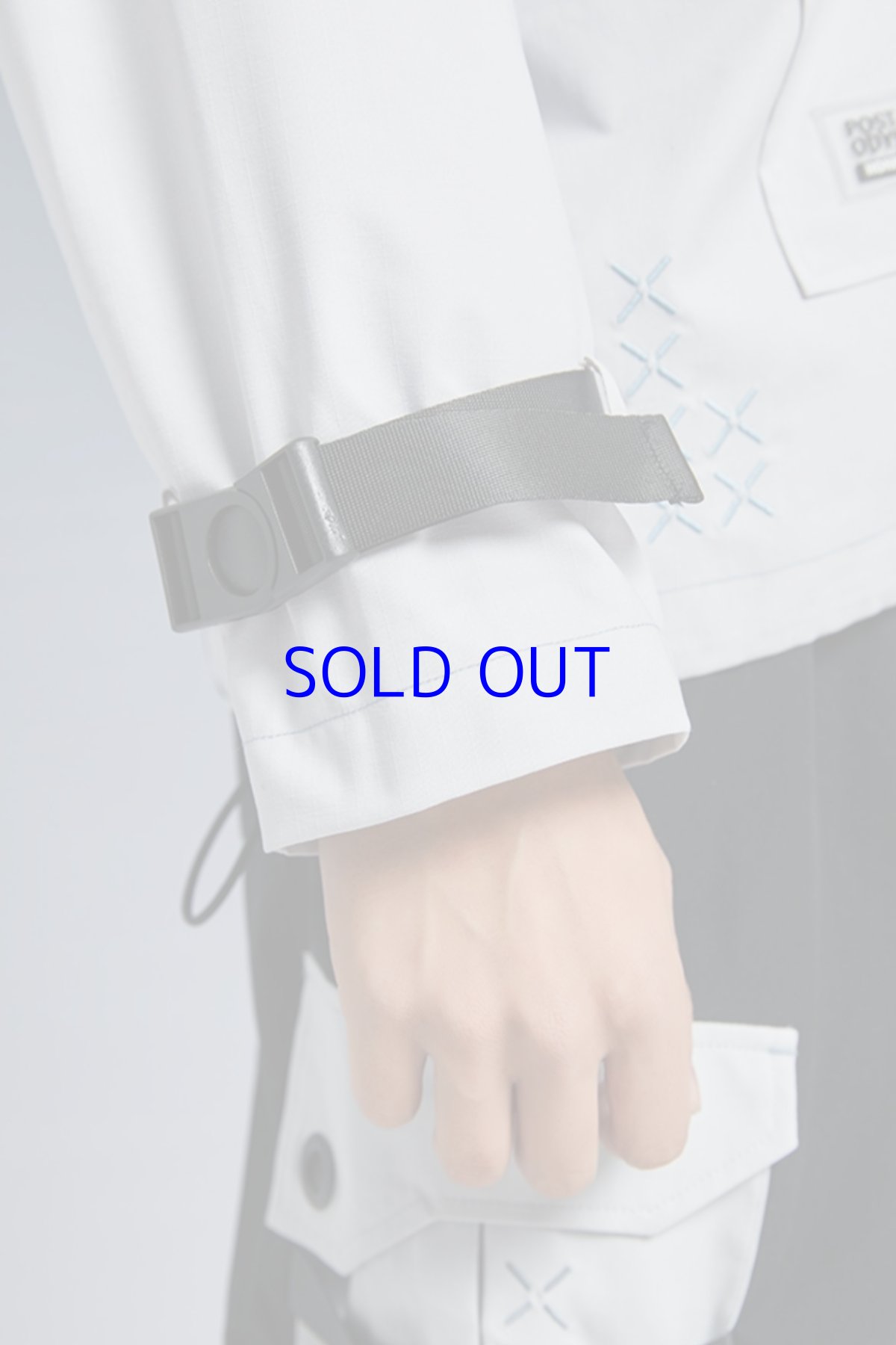 画像14: 崩壊3rd　ブローニャ・新生の銀翼　ジャケット　特典付き (14)