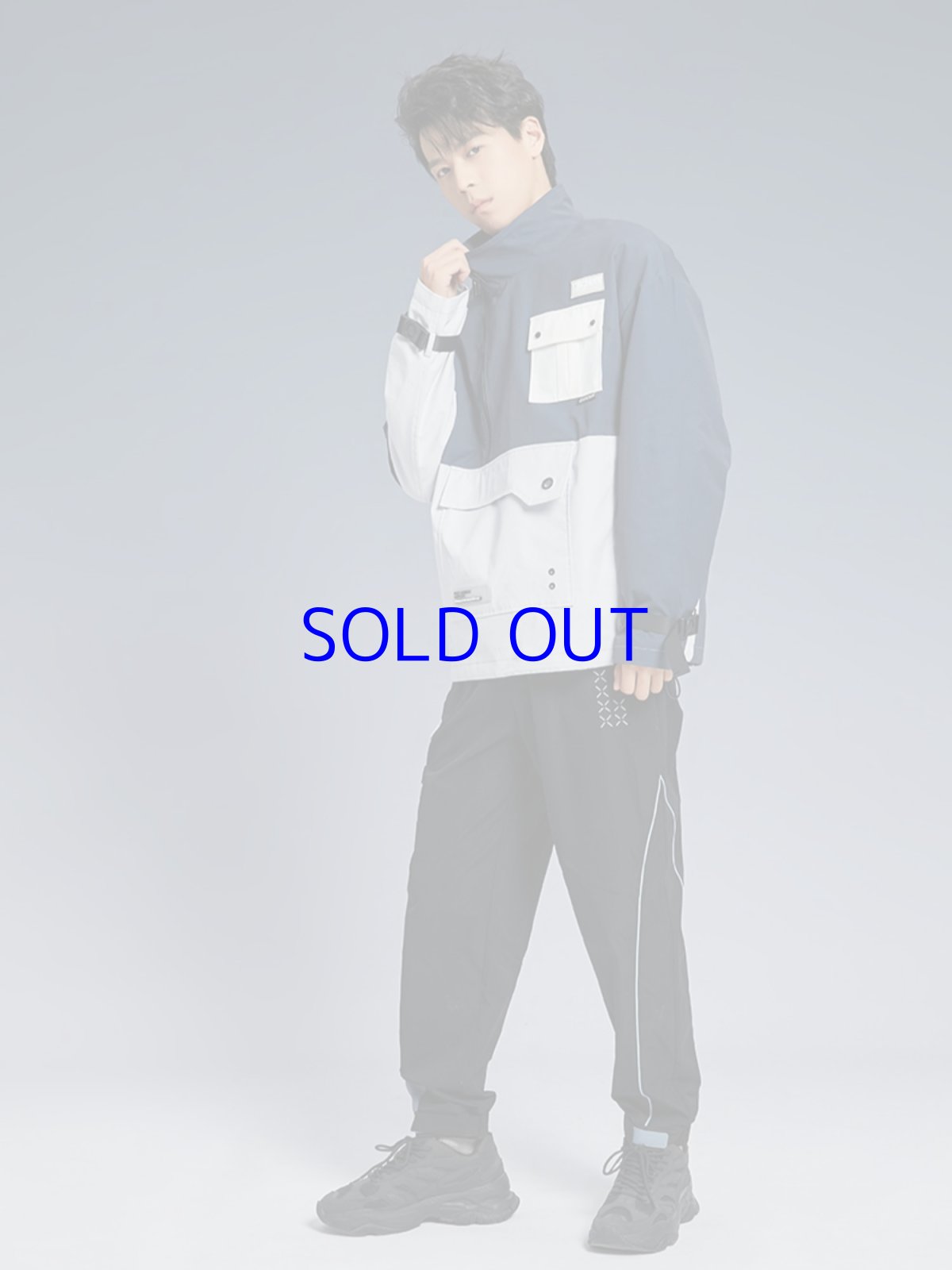 画像10: 崩壊3rd　ブローニャ・新生の銀翼　ジャケット　特典付き (10)