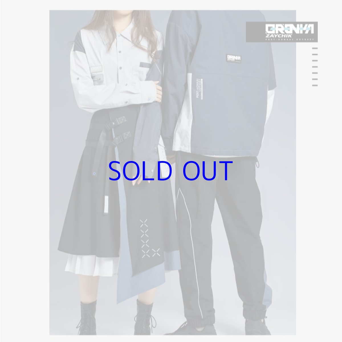 画像5: 崩壊3rd　ブローニャ・新生の銀翼　スカート　特典付き (5)