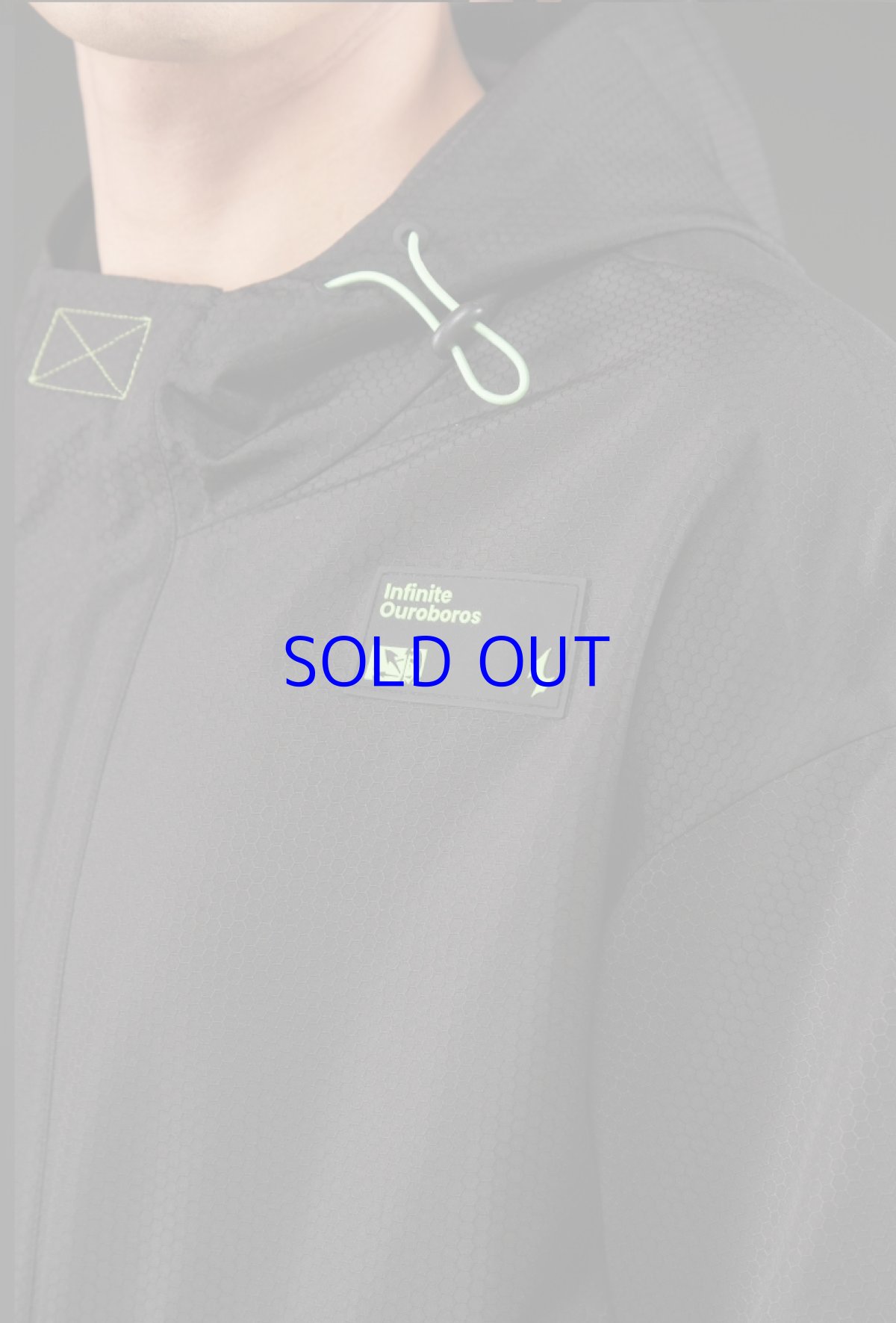 画像11: 崩壊3rd　メビウス・無限・蝕世の蛇　パーカー　特典キーホルダー付き (11)