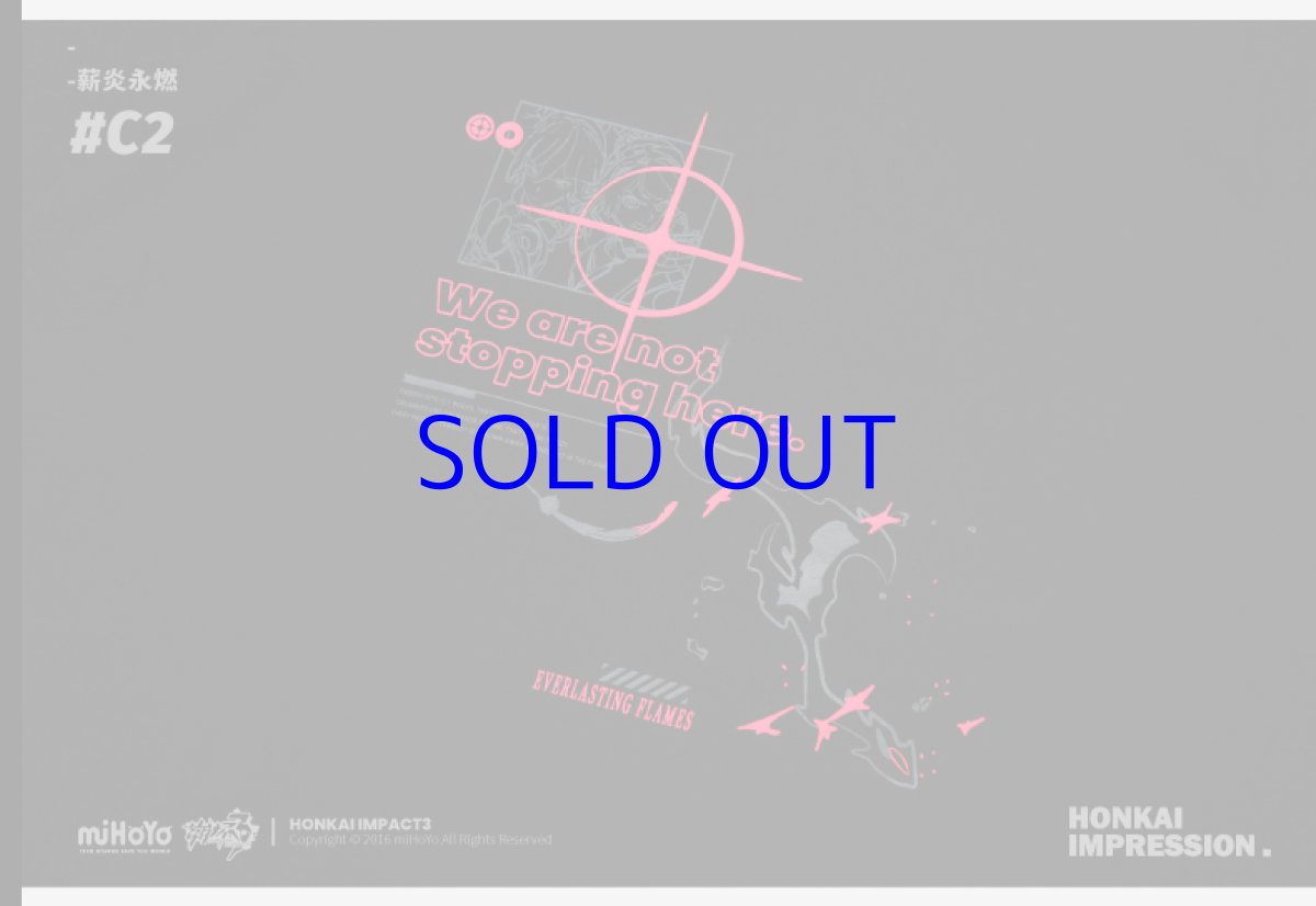 画像22: 崩壊3rd　キアナ・永遠なる薪炎　Tシャツ (22)