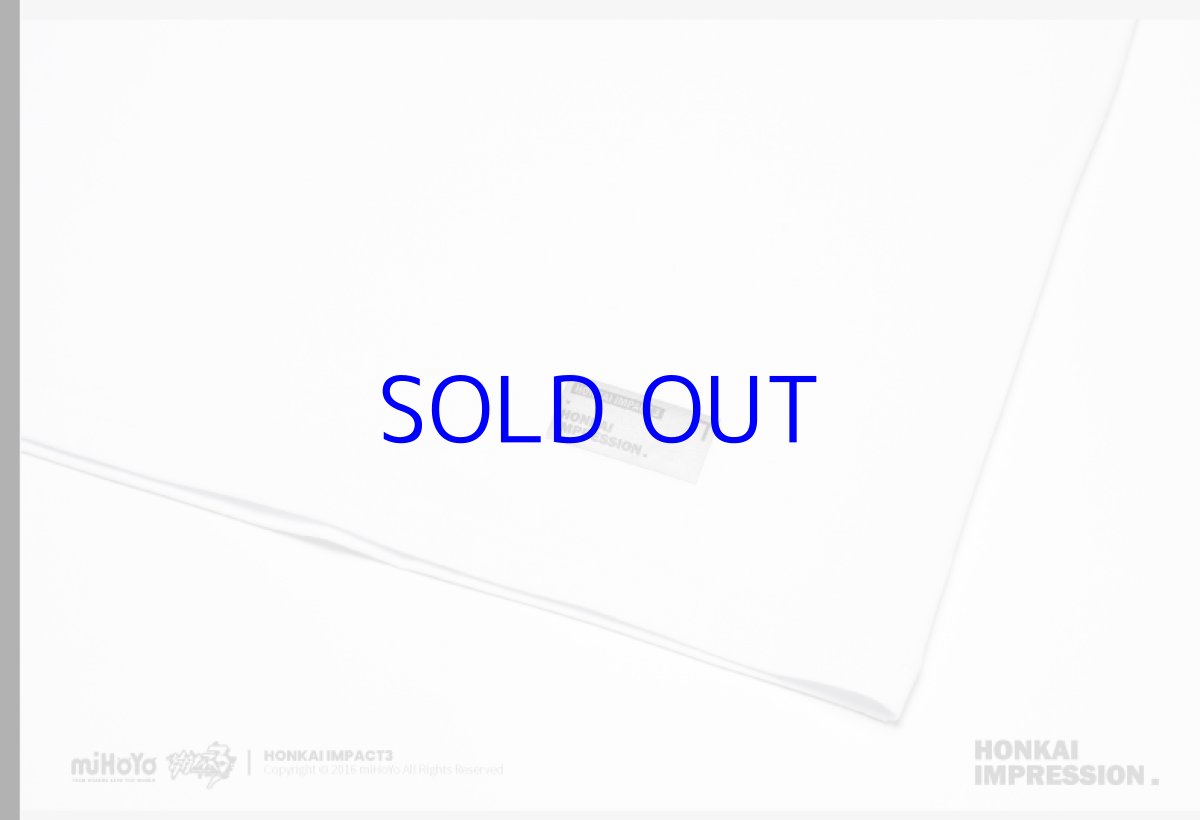 画像29: 崩壊3rd　キアナ・永遠なる薪炎　Tシャツ (29)