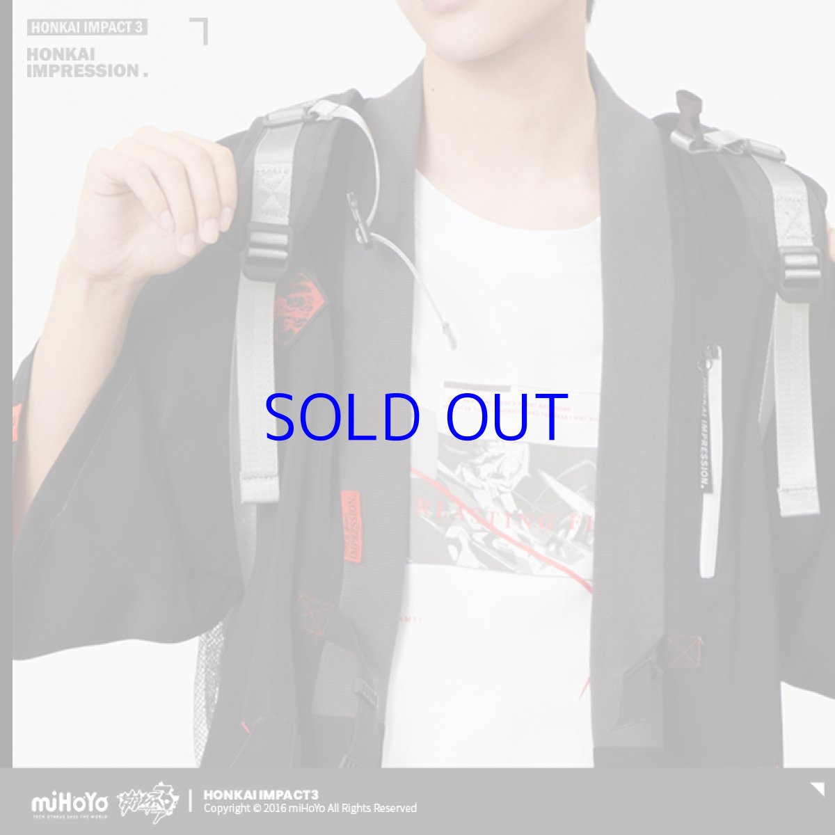 画像5: 崩壊3rd　キアナ・永遠なる薪炎　リュック (5)