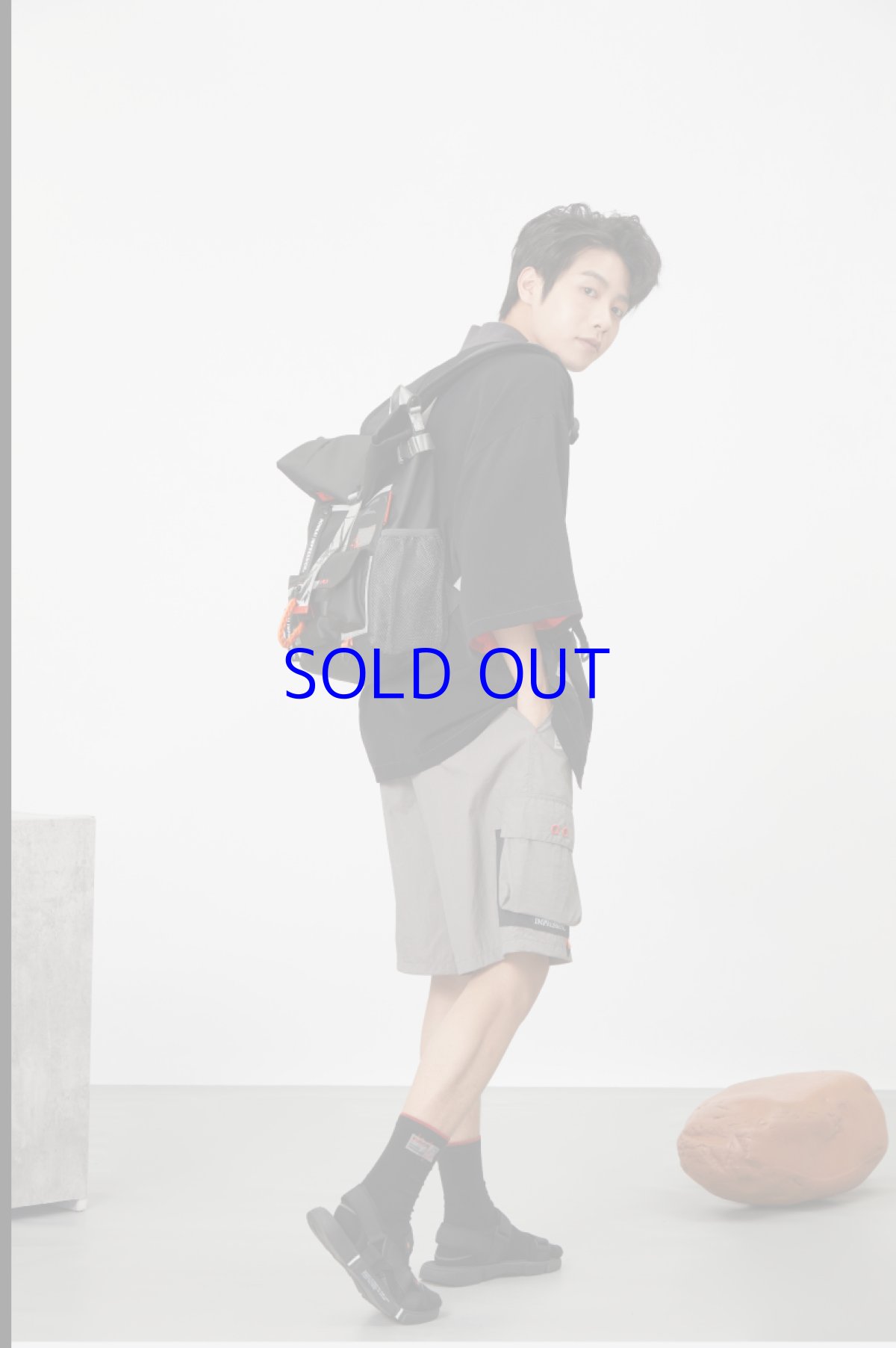 画像7: 崩壊3rd　キアナ・永遠なる薪炎　リュック (7)