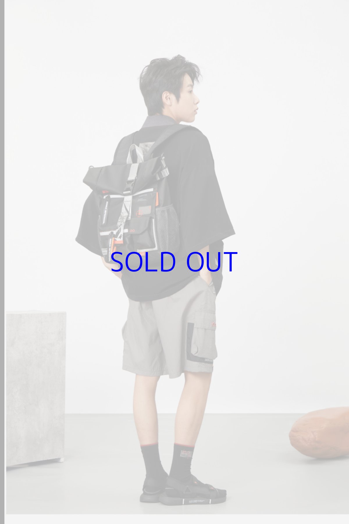 画像10: 崩壊3rd　キアナ・永遠なる薪炎　リュック (10)