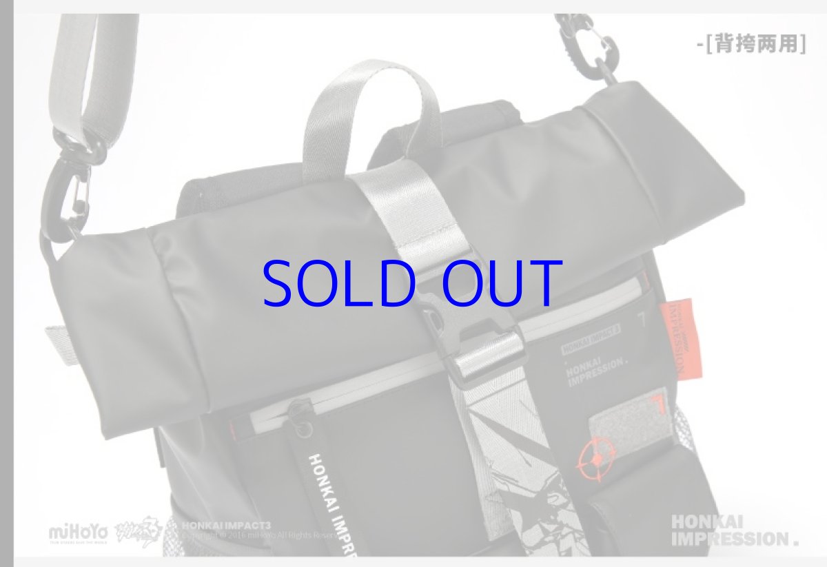 画像21: 崩壊3rd　キアナ・永遠なる薪炎　リュック (21)