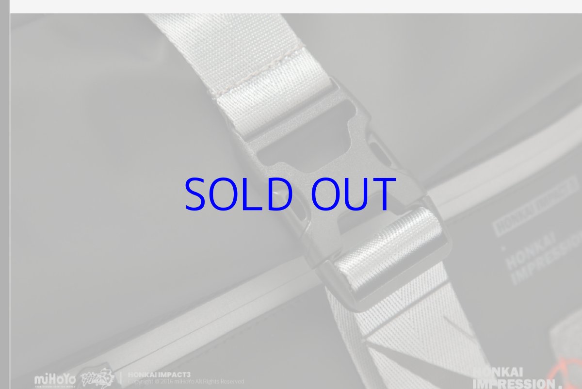 画像20: 崩壊3rd　キアナ・永遠なる薪炎　リュック (20)