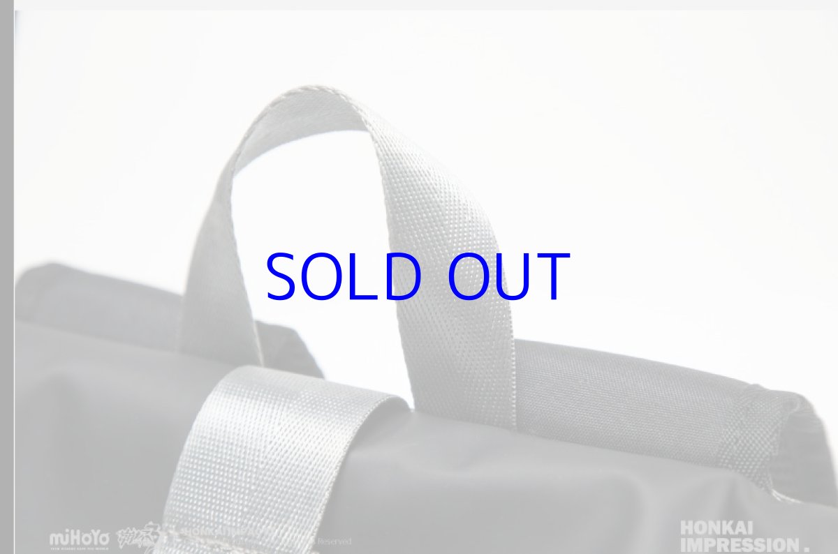 画像19: 崩壊3rd　キアナ・永遠なる薪炎　リュック (19)