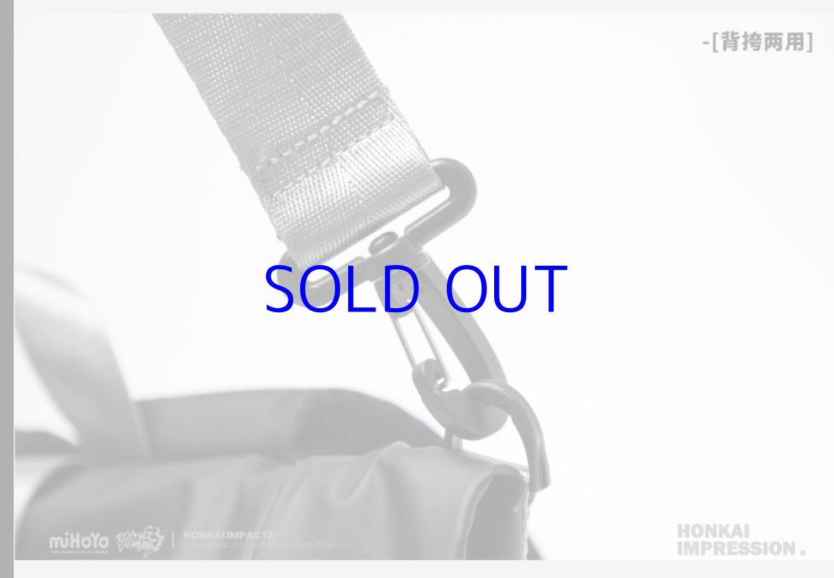 画像18: 崩壊3rd　キアナ・永遠なる薪炎　リュック (18)