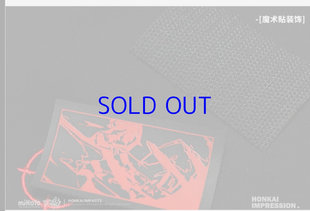 画像16: 崩壊3rd　キアナ・永遠なる薪炎　リュック (16)