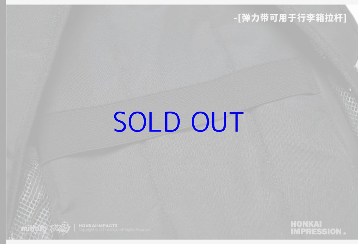 画像14: 崩壊3rd　キアナ・永遠なる薪炎　リュック (14)