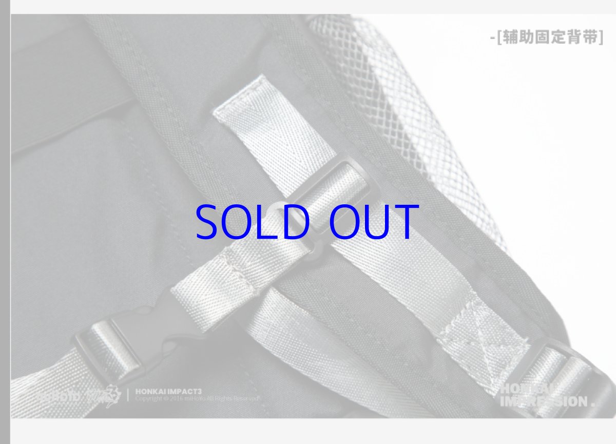 画像13: 崩壊3rd　キアナ・永遠なる薪炎　リュック (13)