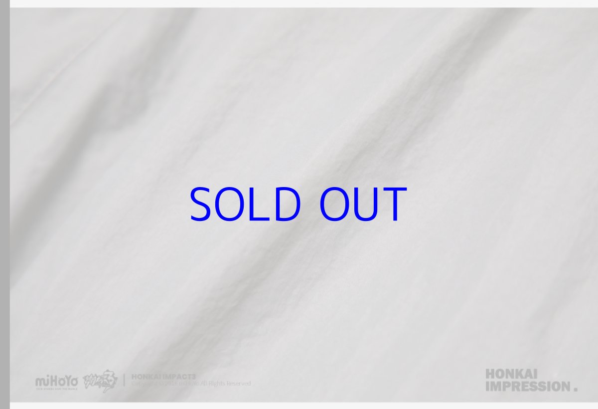 画像15: 崩壊3rd　キアナ・永遠なる薪炎　ショートパンツ (15)