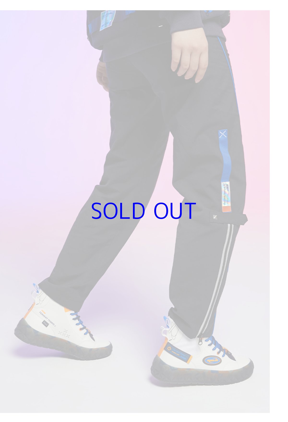 画像6: 崩壊3rd　ロザリア・フィーバーブルースΔ　8ビットフィーバー　パンツ　特典付き (6)