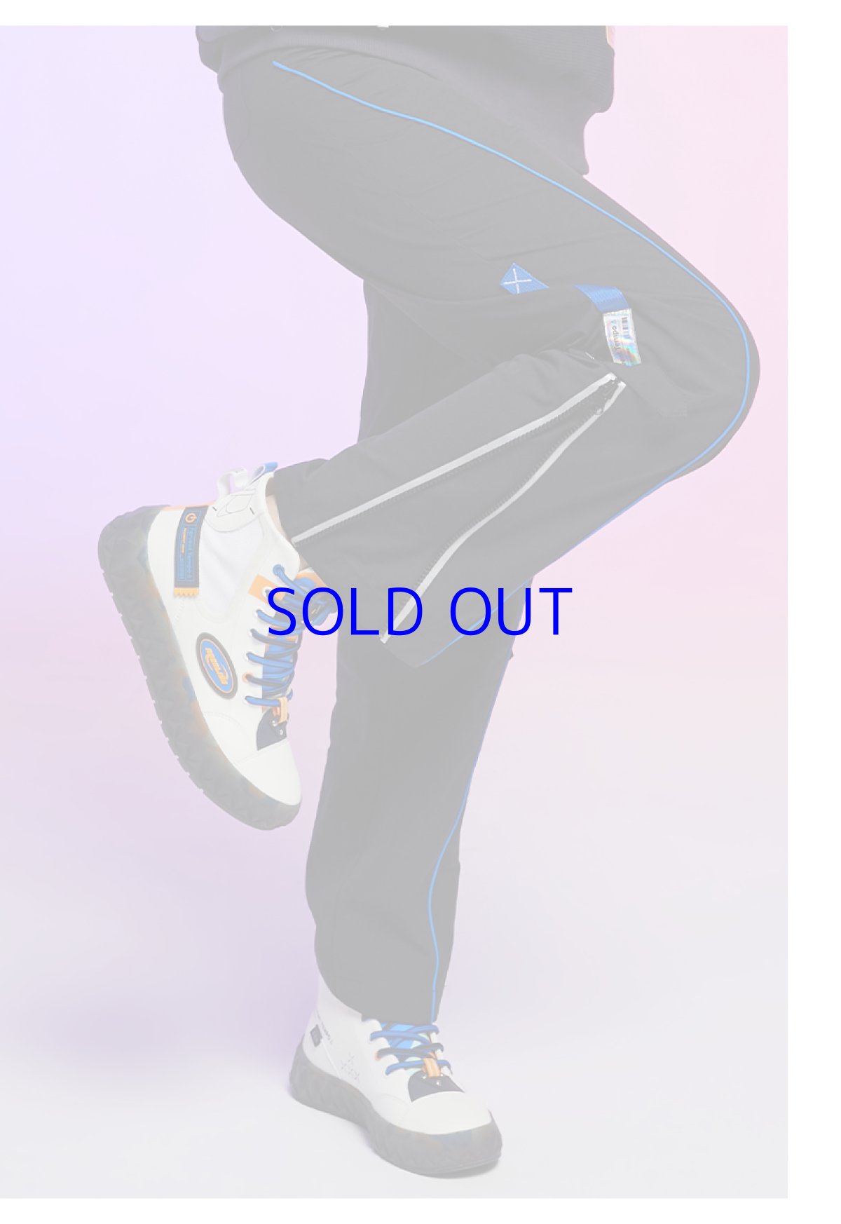 画像4: 崩壊3rd　ロザリア・フィーバーブルースΔ　8ビットフィーバー　キャンバススニーカー　特典付き (4)