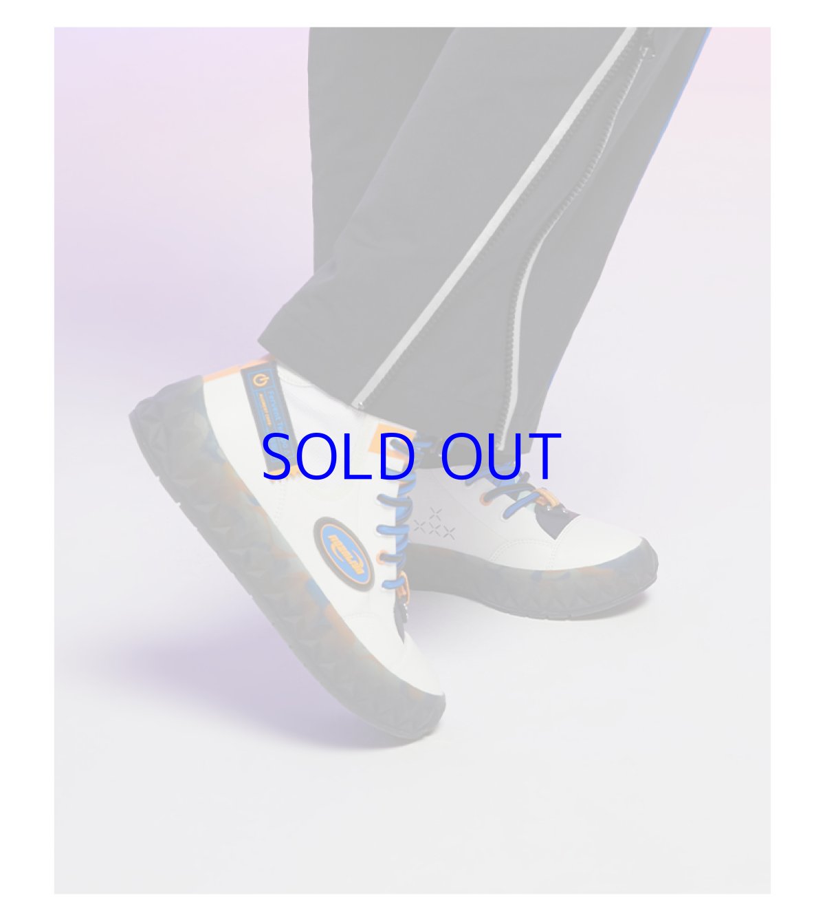 画像6: 崩壊3rd　ロザリア・フィーバーブルースΔ　8ビットフィーバー　キャンバススニーカー　特典付き (6)