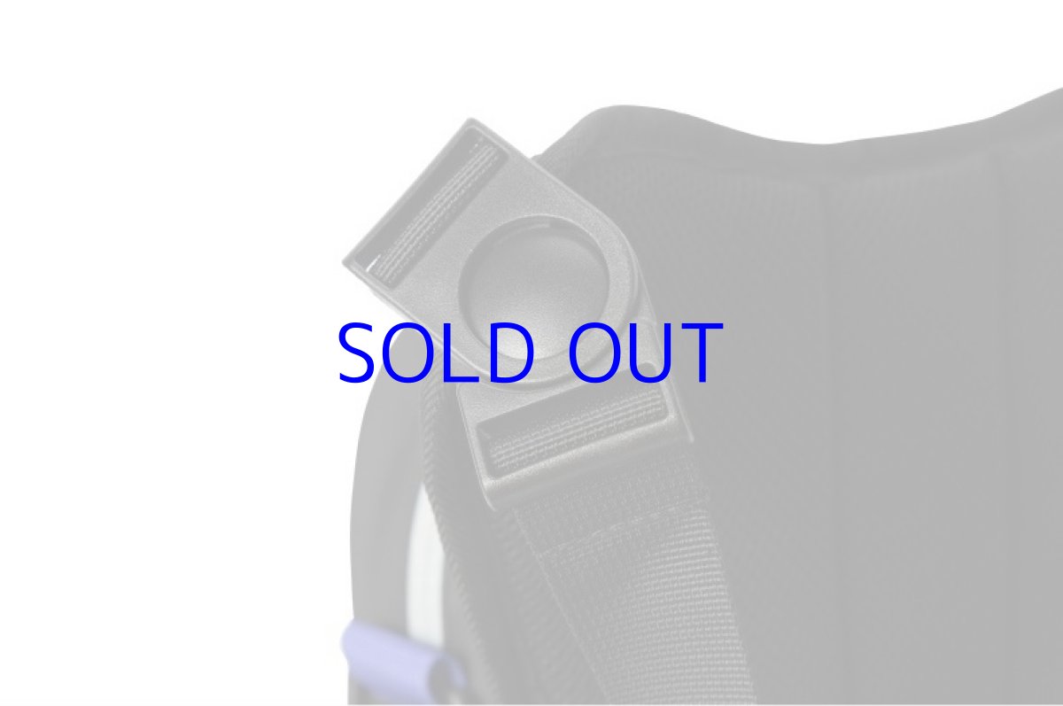 画像17: 【3rd 189pt】崩壊3rd　芽衣・雷の律者　百鬼天冥　ボディバッグ　特典キーホルダー付き (17)