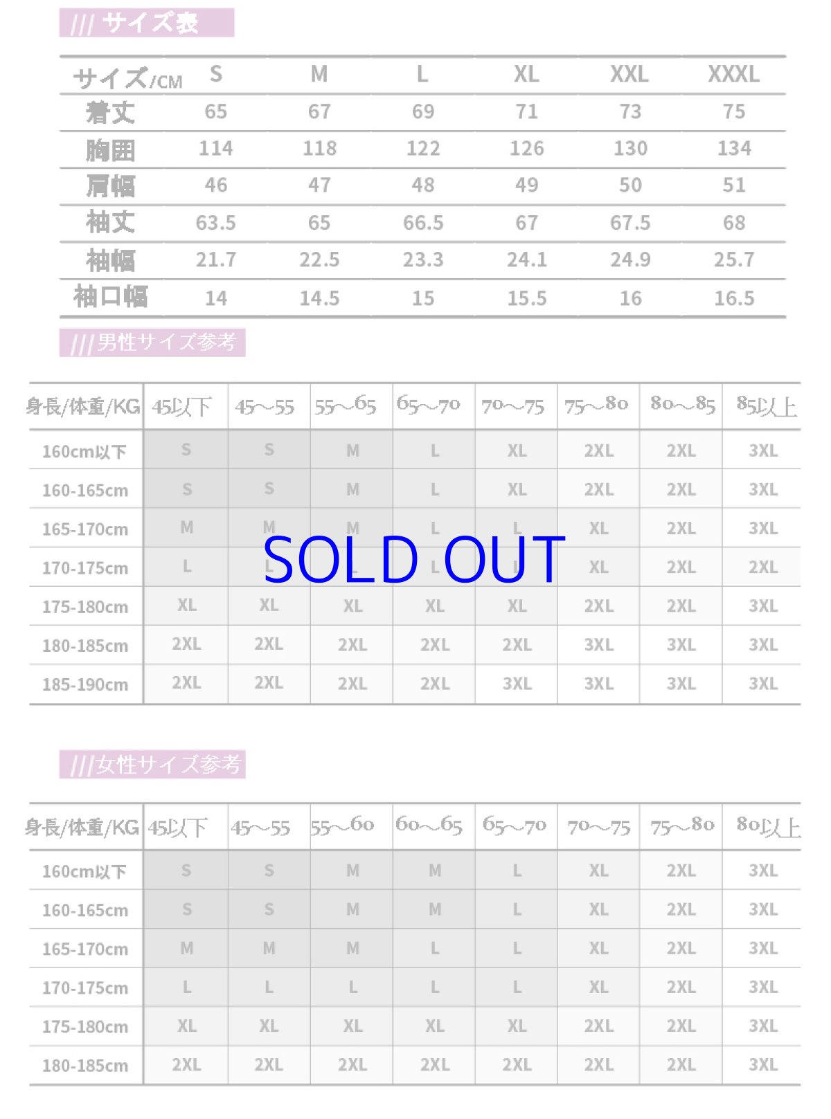 画像18: 【3rd 499pt】崩壊3rd　芽衣・雷の律者　百鬼天冥　コート　特典キーホルダー付き (18)