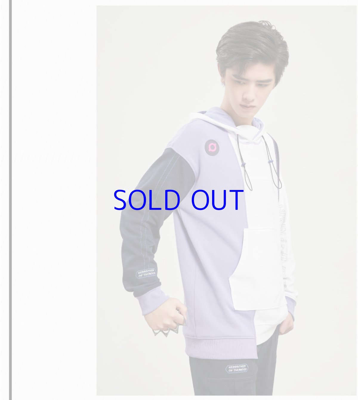 画像6: 【3rd 249pt】崩壊3rd　芽衣・雷の律者　百鬼天冥　パーカー　特典キーホルダー付き (6)