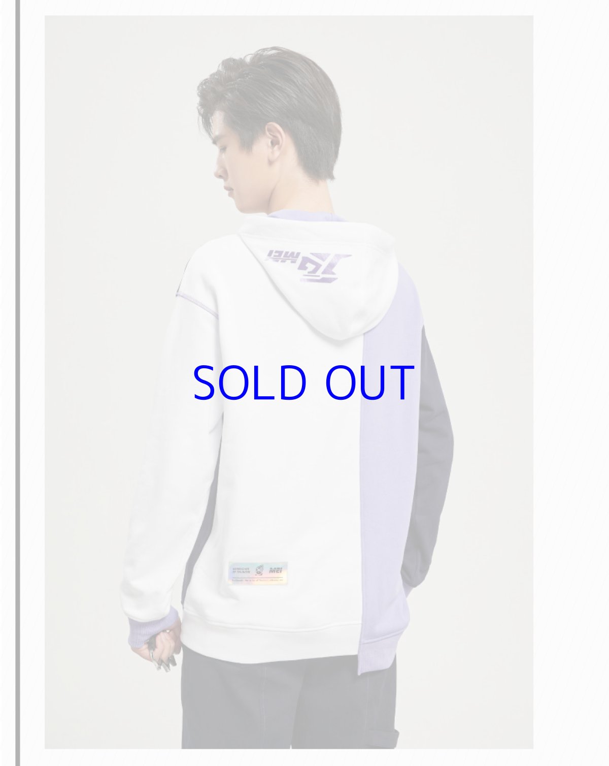 画像7: 【3rd 249pt】崩壊3rd　芽衣・雷の律者　百鬼天冥　パーカー　特典キーホルダー付き (7)