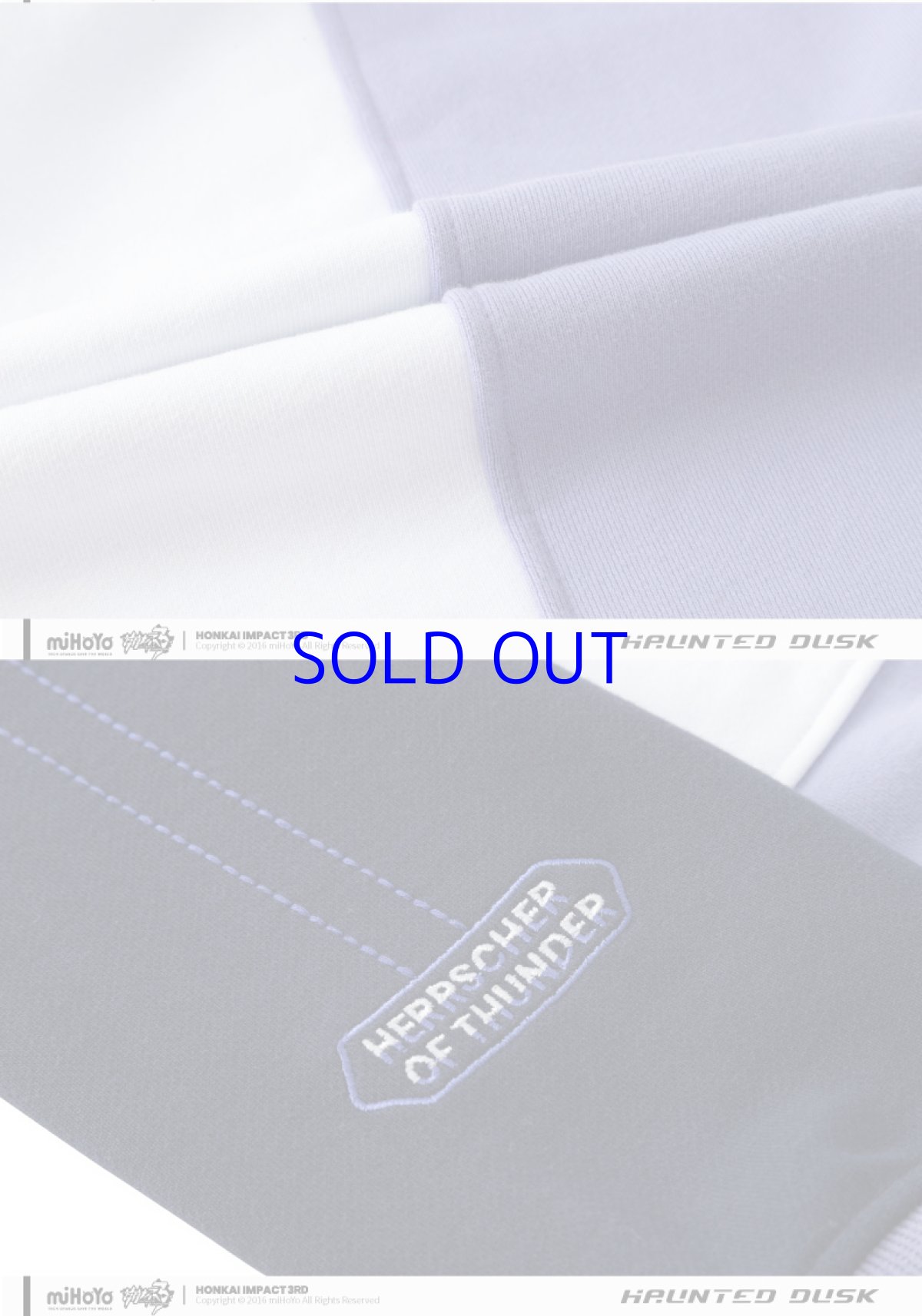 画像15: 【3rd 249pt】崩壊3rd　芽衣・雷の律者　百鬼天冥　パーカー　特典キーホルダー付き (15)