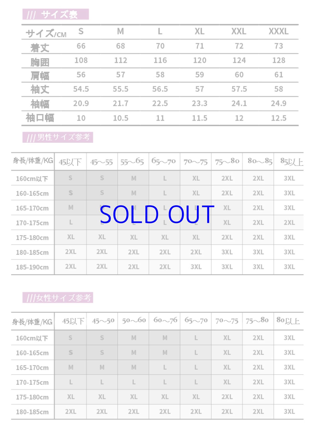 画像17: 【3rd 249pt】崩壊3rd　芽衣・雷の律者　百鬼天冥　パーカー　特典キーホルダー付き (17)