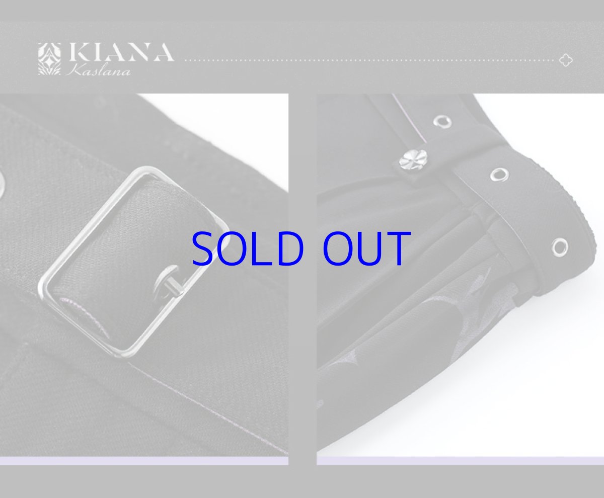 画像11: 崩壊3rd　キアナ・終焉の律者　ズボン　特典付き (11)