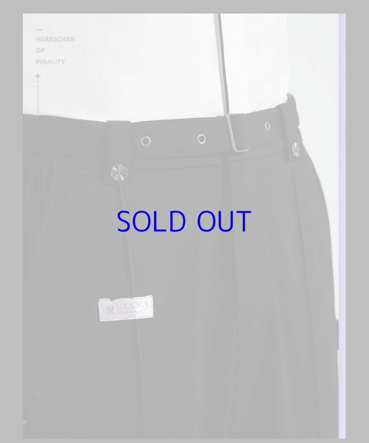 画像13: 崩壊3rd　キアナ・終焉の律者　ズボン　特典付き (13)