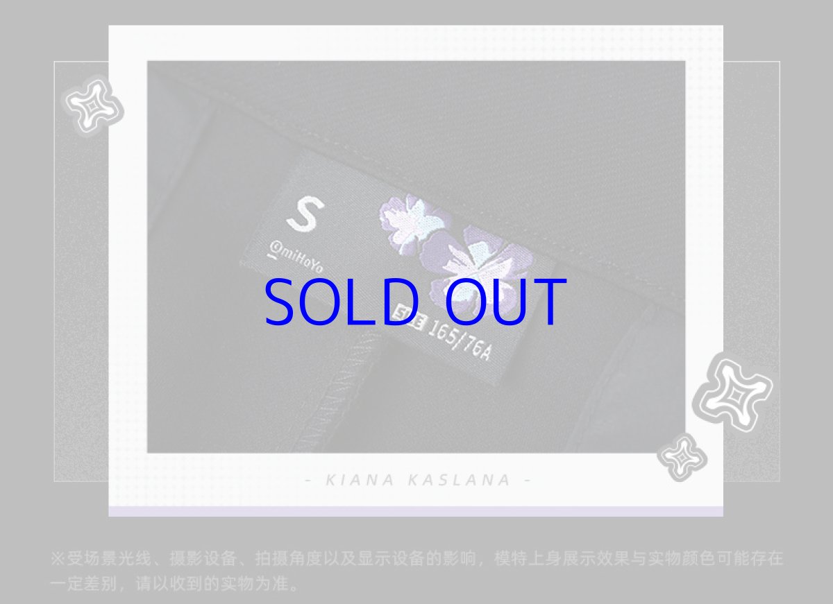 画像14: 崩壊3rd　キアナ・終焉の律者　ズボン　特典付き (14)