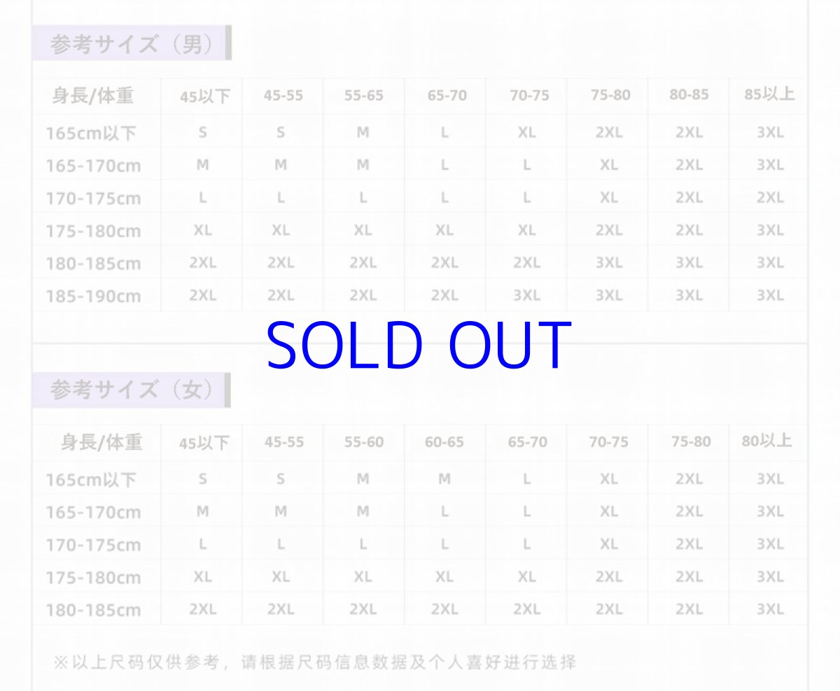 画像19: 崩壊3rd　キアナ・終焉の律者　コート　特典付き (19)